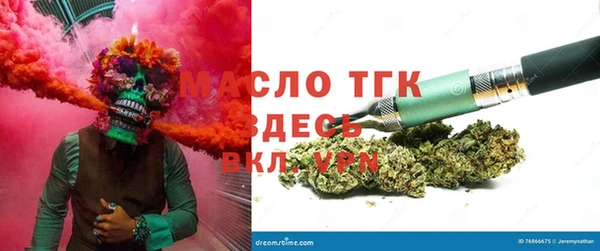 индика Арсеньев