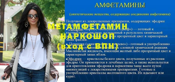 гидра Алексин