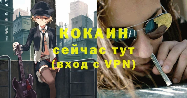 индика Арсеньев