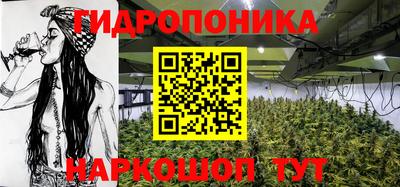 apvp Гусь-Хрустальный