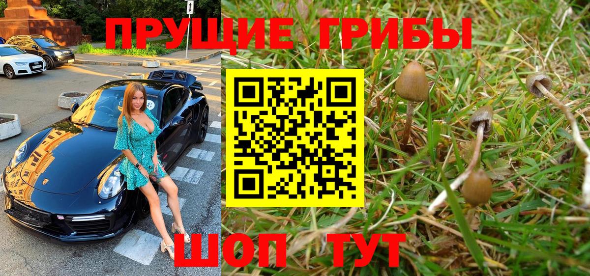 Псилоцибиновые грибы Magic Shrooms Майкоп